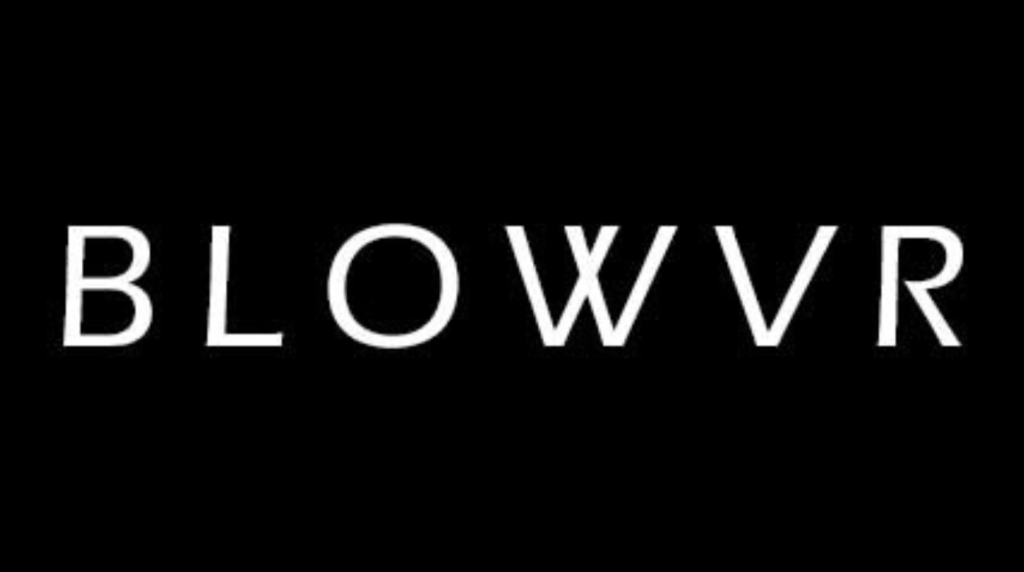 blowvr.com